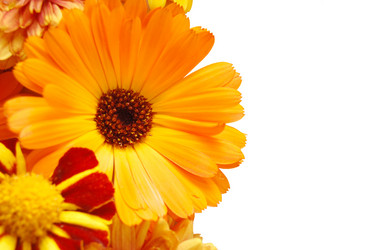 Similar image 460944