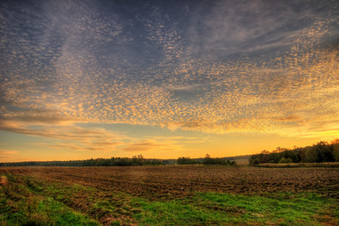 Similar image 460950