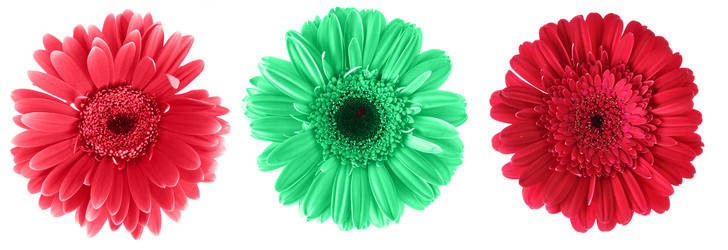 Similar image 460974