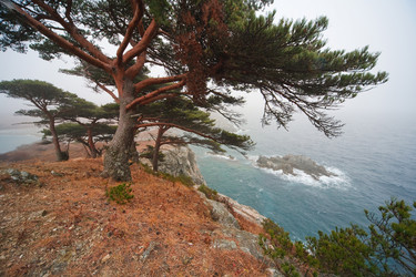 Similar image 461080