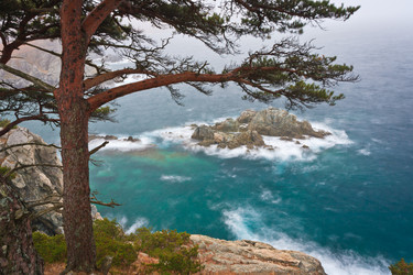 Similar image 461086