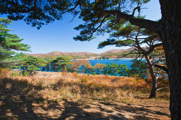 Similar image 461094