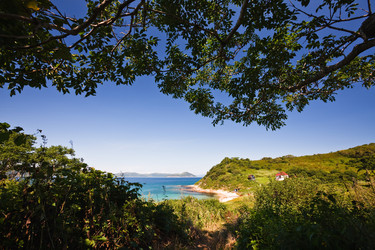 Similar image 461105