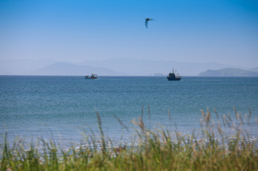 Similar image 461116