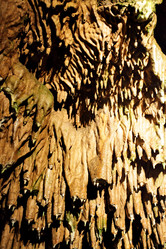 Similar image 461141