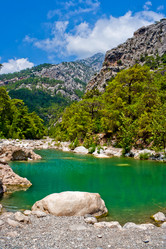 Similar image 461154