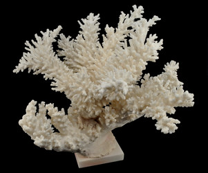 Similar image 461155