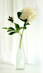 Similar image 461157