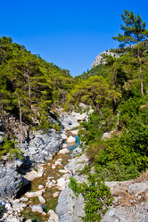 Similar image 461171