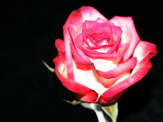 Similar image 461186