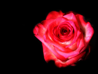 Similar image 461195