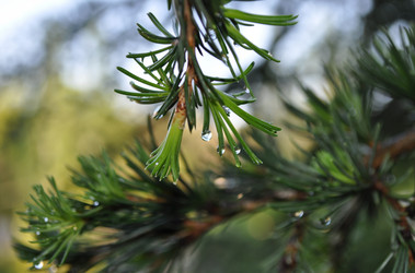 Similar image 461242