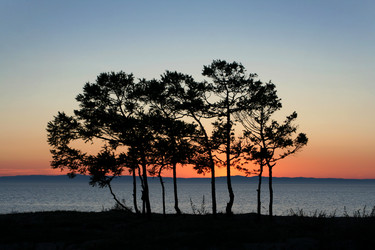 Similar image 461259