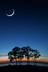 Similar image 461277