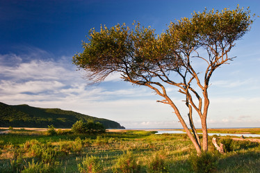 Similar image 461333