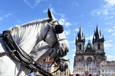 Similar image 461341