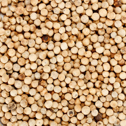 Similar image 461347