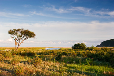 Similar image 461355