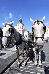 Similar image 461360