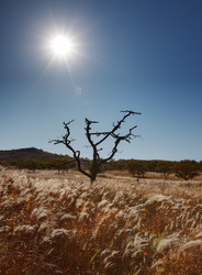 Similar image 461364