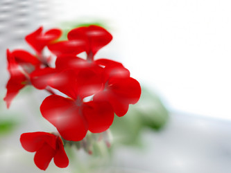 Similar image 461383