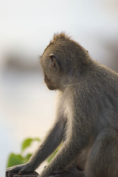 Similar image 461390