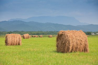 Similar image 461395