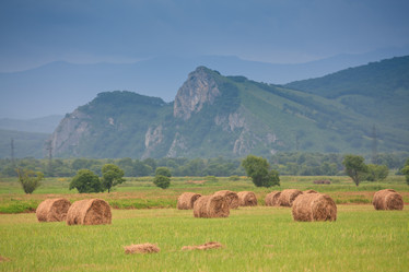 Similar image 461399