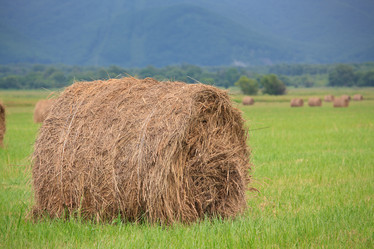 Similar image 461400