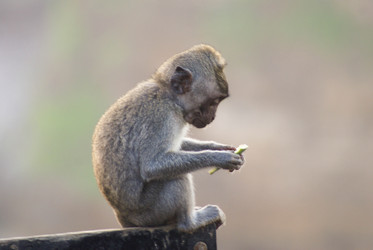 Similar image 461402