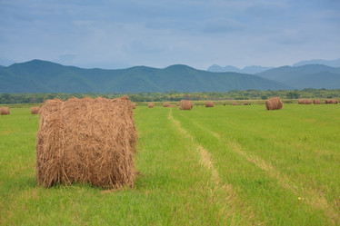 Similar image 461406