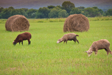 Similar image 461422