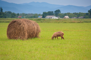 Similar image 461429