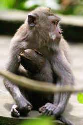 Similar image 461430