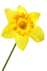 Similar image 461442