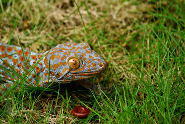 Similar image 461466