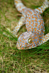 Similar image 461472