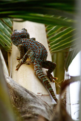 Similar image 461481