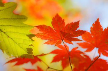 Similar image 461509