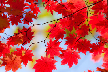 Similar image 461526