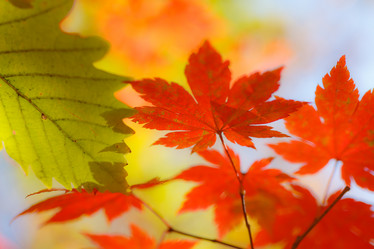 Similar image 461533