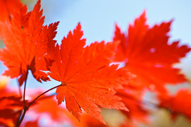 Similar image 461538