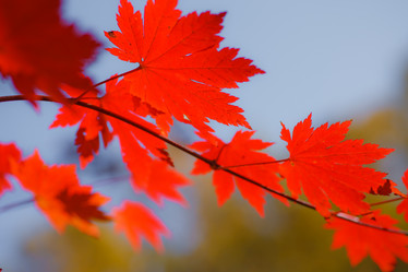 Similar image 461540