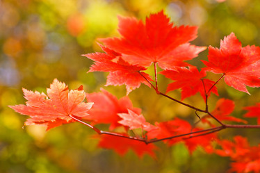 Similar image 461555