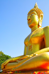 Similar image 461557