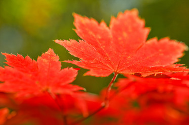 Similar image 461559