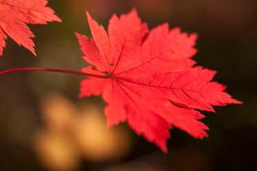 Similar image 461561