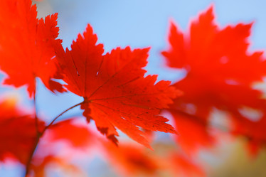 Similar image 461562