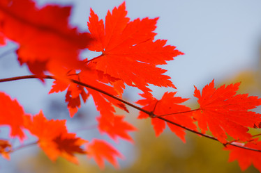 Similar image 461564