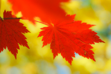 Similar image 461570